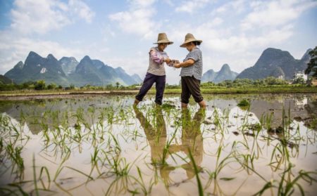 A importância da agricultura na China