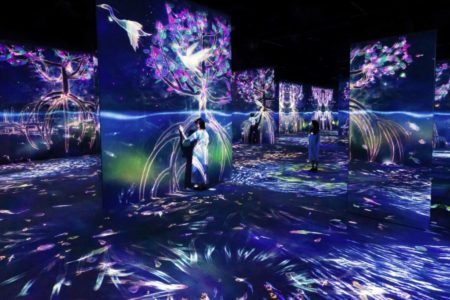 International Horticultural Exhibition 2019 Beijing